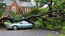 Tree Storm Damage in Dunwoody, Georgia